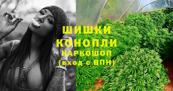 стаф Баксан