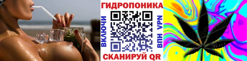 blacksprut ONION  нарко площадка какой сайт  Каннабис гибрид  Грязовец 